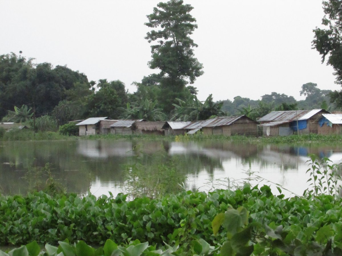 河南新乡洪水咆哮着从村民家流过 田地玉米完全被淹没_手机新浪网